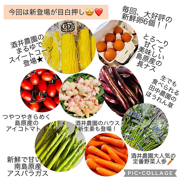 野菜セット第四弾