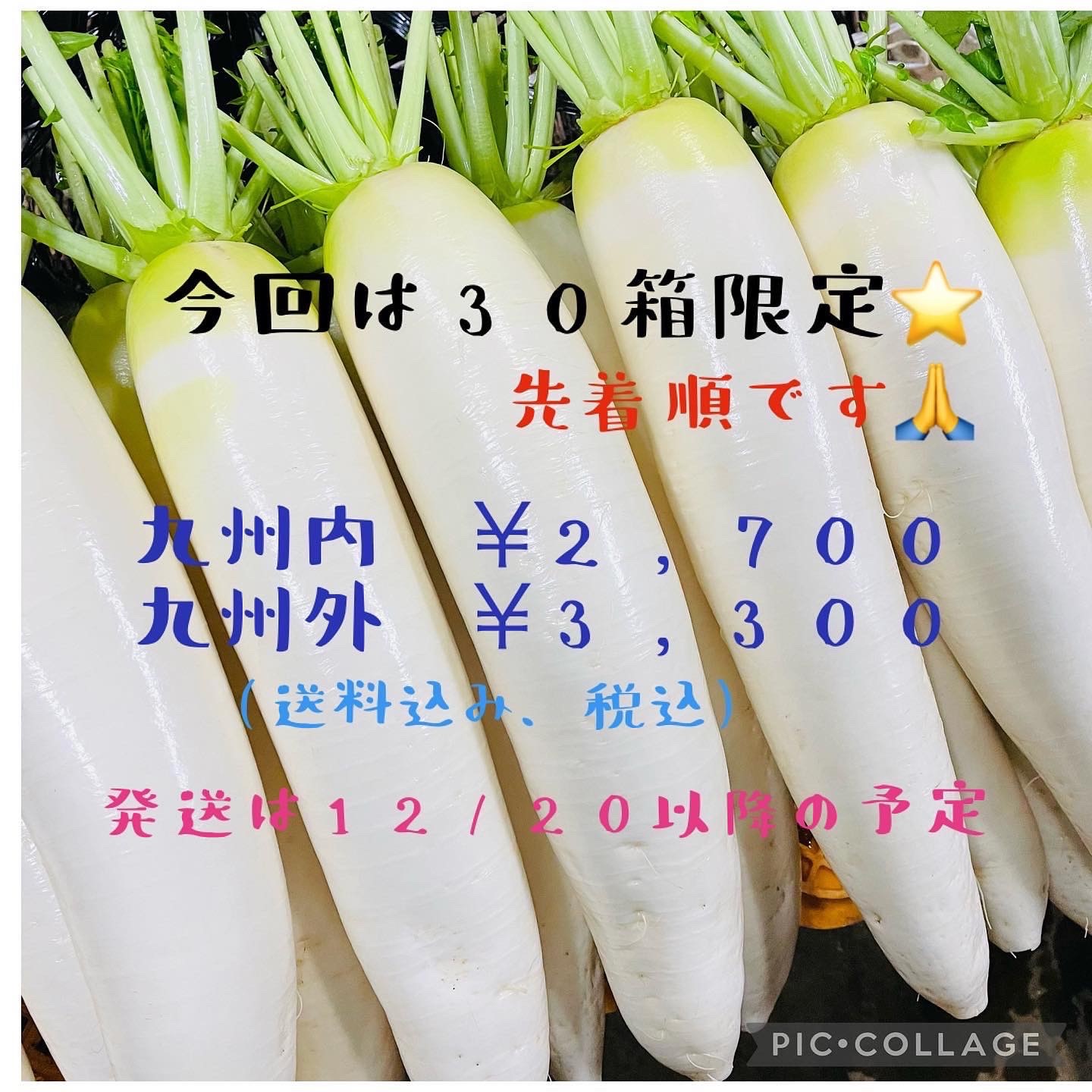 30箱限定