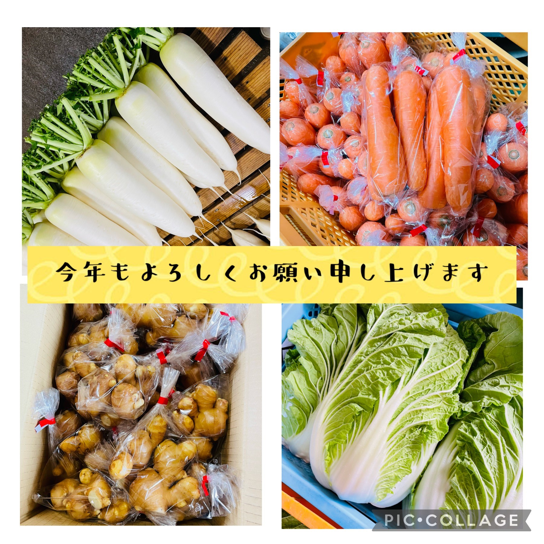 新年のご挨拶